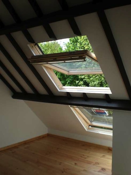 pose de 2 velux alignés